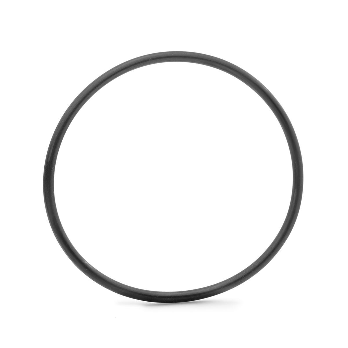 O-ring na uchytenie prevodníka BDU4XX